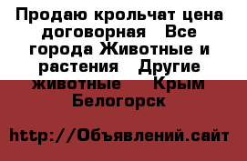 Продаю крольчат цена договорная - Все города Животные и растения » Другие животные   . Крым,Белогорск